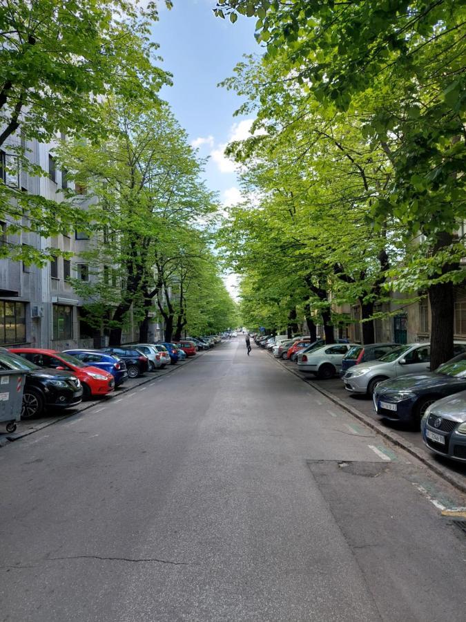 Room 23 Belgrad Dış mekan fotoğraf